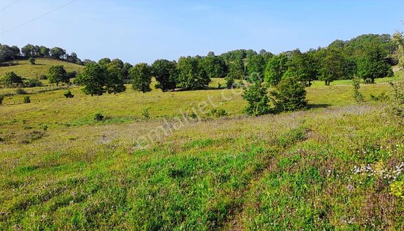 Bursa Yenişehir Reşadiye'de Tek Tapulu 5000 M2 Takasa Uygun Arsa