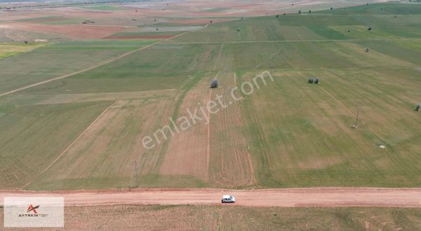 Konya Akören Hacılar Mahallesinde 5.479 M² Müstakil Tarla