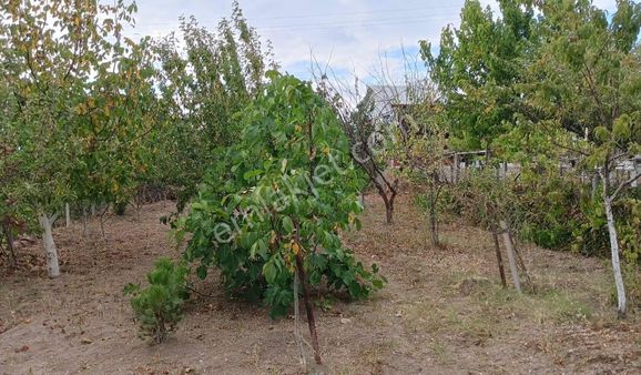 Çorum Merkezde 560m2 Bahçe Ve Ev