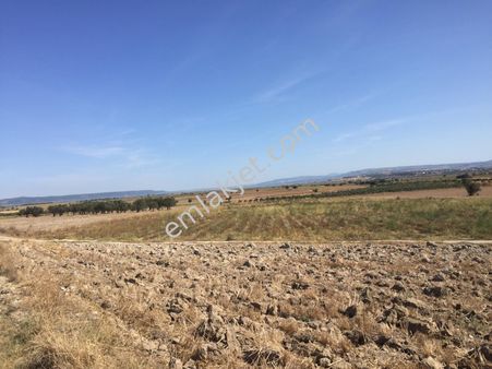 Çubuk Yazırda Satılık Kooptıf Arsası