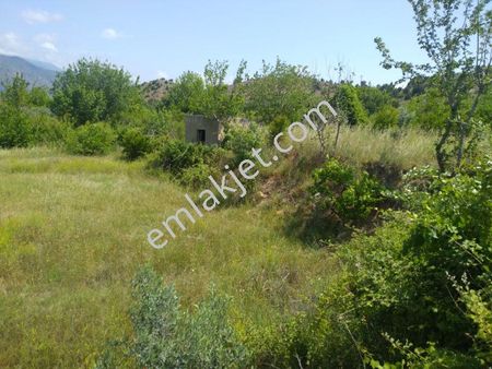 Mayıslar Laçin Sınırında,eskişehir/nallıhan Yoluna 70/80m,cepheli,süper Anayol Ve Derekenarı6000m2.