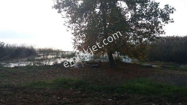 Keramette Satılık Göl Kıyısı Arazi