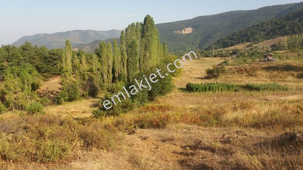 Orhangazi'de Satılık Göl Manzaralı Arazi