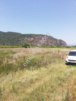 Paşa Emlak'tan Ortaca Mergenli'de Satılık Tarla