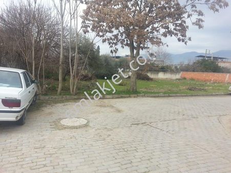 Netses Gayrimenkulden Satılık Arsa