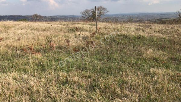 Kılıcoglu Emlaktan Kubuzcu Da Satılık Super Arazı