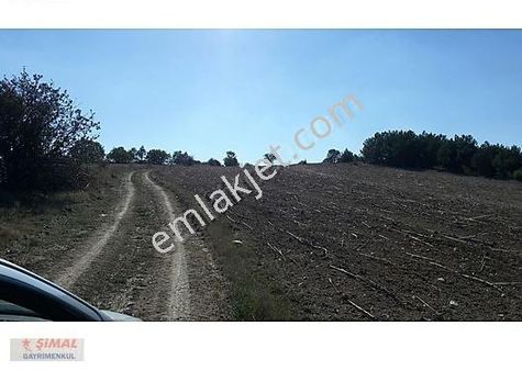 Taraklı Akçapınarda Satılık Tarla