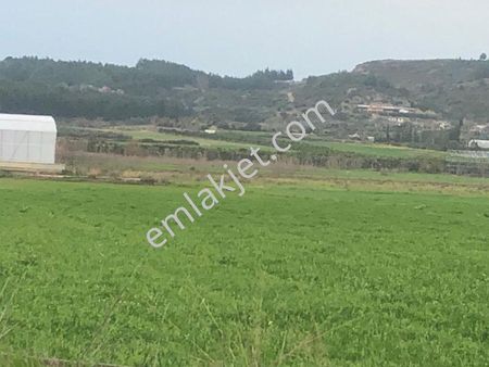 Manavgat Bölgesinde Muz V Avakado Tarımı İçin Satılık Süper Tarla