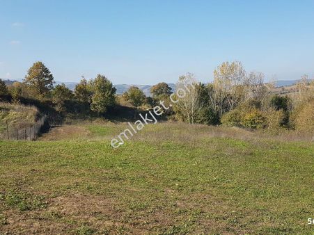 Kocaeli Karamürsel Yalakdere 2530 M2 Satılık Tarla