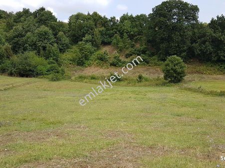 Kocaeli Karamürsel Kızderbent 5440 M² Güzel Konumda Satılık Tarla