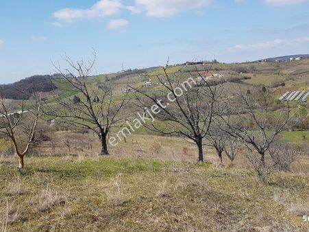Kocaeli Karamürsel Akçat 22.479 M² %5 İmarlı Yatırımlık Arazi