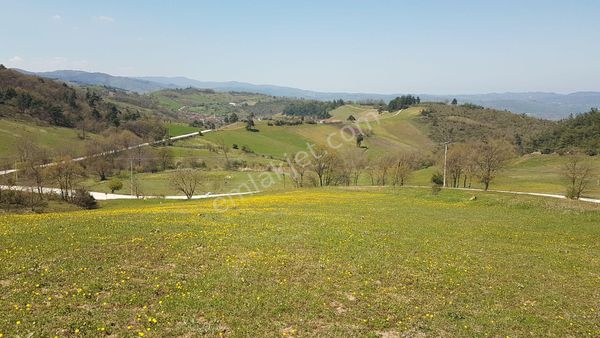 Kocaeli Karamürsel Çamdibi 11.248 M² Yatırıma Uygun Satılık Tarla