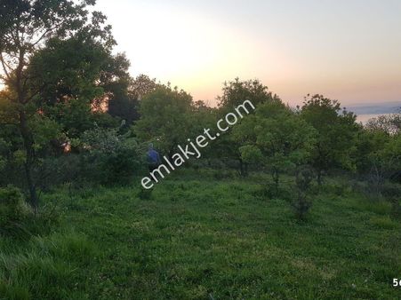 Uzmanlardan Satılık Arsa 7640 M2 Kocaeli Karamürsel Kayacık Mah.