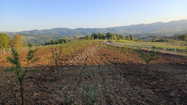 Kocaeli Karamürsel Yalakdere Yatırımlık 5.492 M² Satılık Tarla