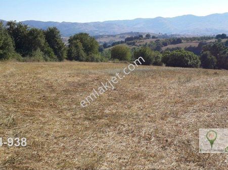 Uzmanlar' Dan Satılık Tarla 10825m2 Kocaeli Karamürsel Yalakdere