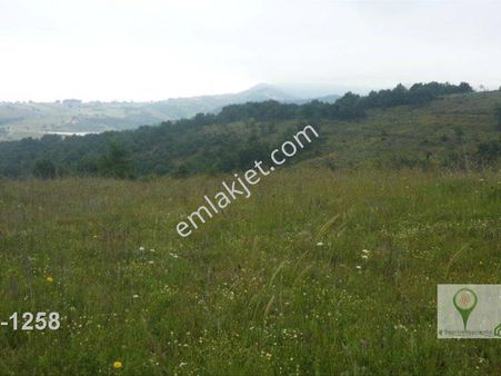 Karamürsel Çamdibi Köyü Satılık 7350 M2 Tarla Uzmanlar'dan
