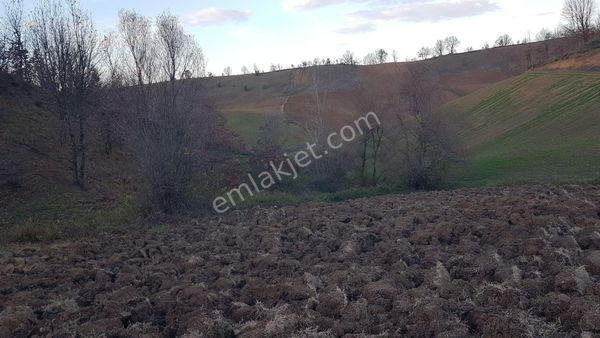 Kocaeli Karamürsel Çamdibi 1.828 M² Merkeze Yakın Satılık Tarla