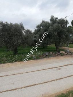 Kuşadası Denize Yakın İmarlı Satılık Arsa