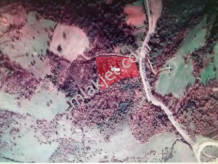 Lapseki Taştepe Köyünde 5.700m2 Satrılık Tarla.