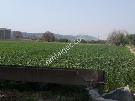 Rose Emlak Tan Satılık Sanayi İmarlı Arazi