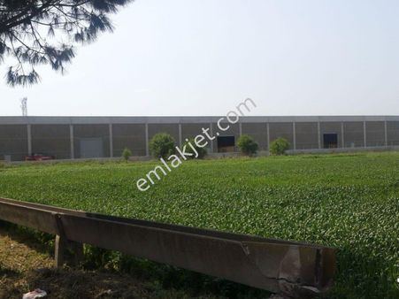 Rose Emlak Tan Satılık Sanayi İmarlı Arazi