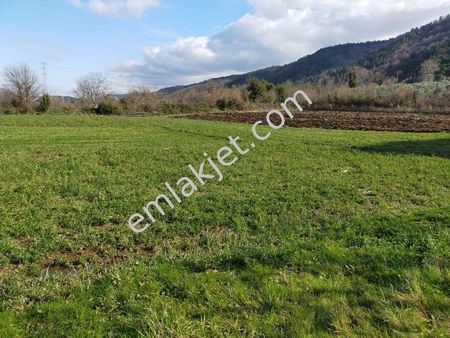 Yalova Çınarcık Kocaderede 6.000 M2 Tarla