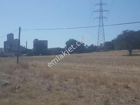 Rose Emlak 039 Tan Satılık Sanayi İmarına Açık Arazi
