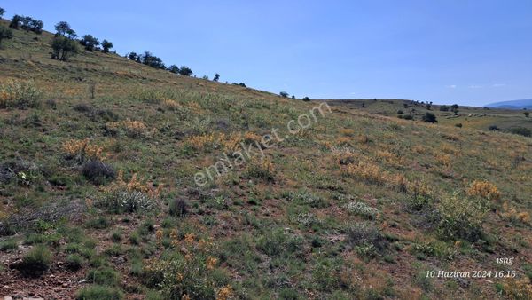 Karadigin Deresinde Kısmi Konya Manzaralı İmara Yakın Cazip Arsa