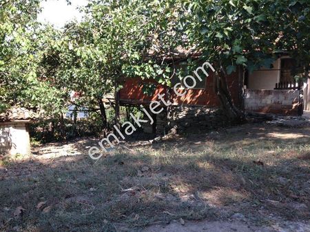 Düzce Gümüşova Yongalık Köyü 7 Dönum 4200 M2si Konut İmarlı