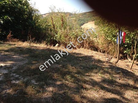 Düzce Gümüşova Yongalık Köyü Satılık Arsa 3.150 Metrekare