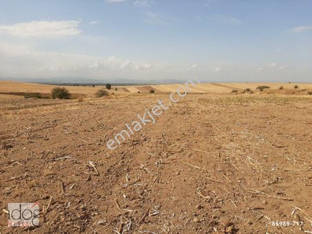 İpsala Sultanköyde 11 Dönüm Satılık