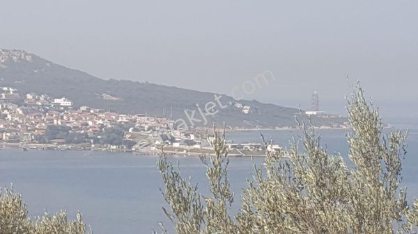 Rose Emlak'tan Satılık Kupon Arazi