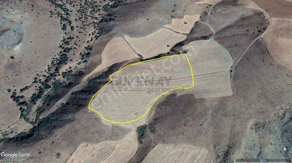 Çorum Mecitözü Figani Beke Köyü 29 Dönüm Satılık Tarla