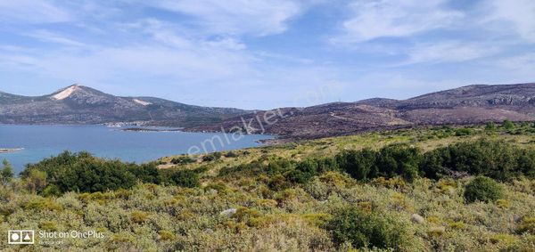 Çeşme Ildırı Da Kooperatif Hisseleri