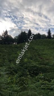 Çamlıhemşin 3 Dönüm Arazi