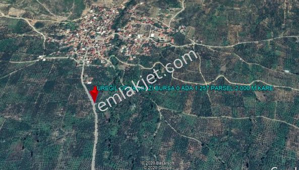 Orhangazi Üreğil Köyü Asfaltına Cephe Köy Dibi Zeytinlik