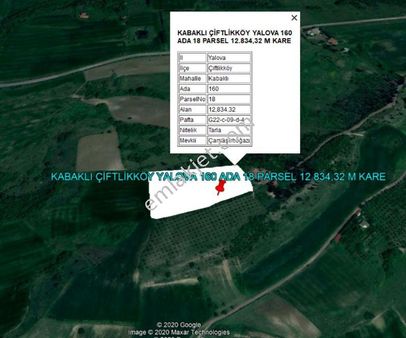 Yalova Kabaklı Köyünde Deniz Manzaralı 12.834 M Kare Tarla