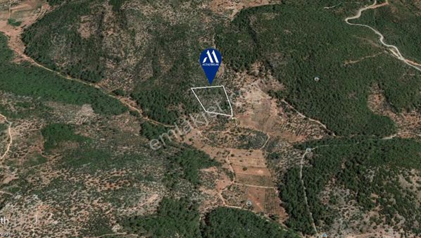 Dalaman Şerefler Mahallesinde Satılık 5000 M² Tapulu Arazi