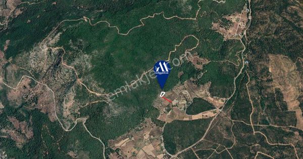 Dalaman Şerefler De Satılık 1938 M² Arazi