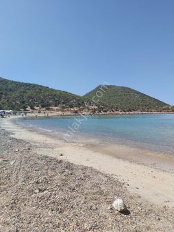 Mersin Erdemli Sarıkaya Mah.satılık 5500 M2 Tarla