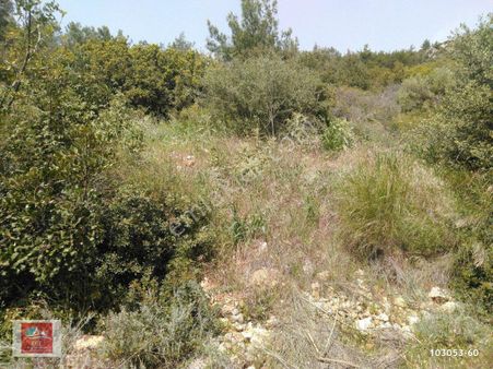 Kaş,gelemiş,ahirtaş Mevki , Zeytinli Tarla....