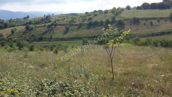 Satılık Tarla 13286 M2 Kocaeli Karamürsel Yalakdere Uzmanlar'dan