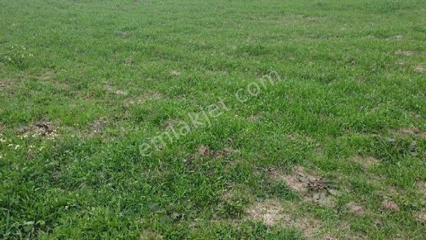 Satılık 31.992 M2 Tarla