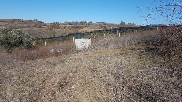 Kocaeli Karamürsel Yalakdere Mah. Satılık Tarla 10246 M2