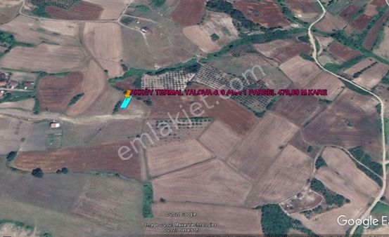 Yalova Termal Akköy De 470 M Kare Arsa