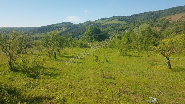 Karamürsel Akçat Köyü 1572 M2 Satılık Arsa Uzmanlar'dan