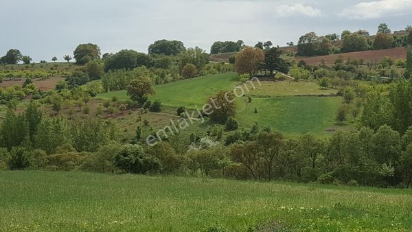 Kemalist Gayrimenkul'den ,ankara Çubuk Sarıkoz'da, 112,20 M2 Arsa
