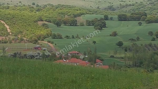 Kemalist Gayrimenkul'den , Ankara Çubuk Sarıkoz'da, 927,12 M2 Arsa