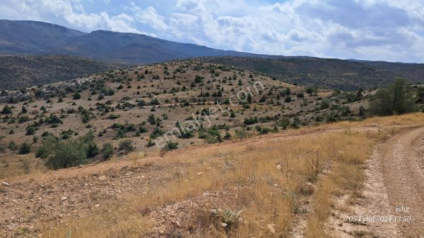 Dere Salarlı Yaylasında Müstakil Nitelikli-cazip Arazi