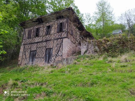 Muhteşem Bir Arazi Çay Ve Fındıklık
